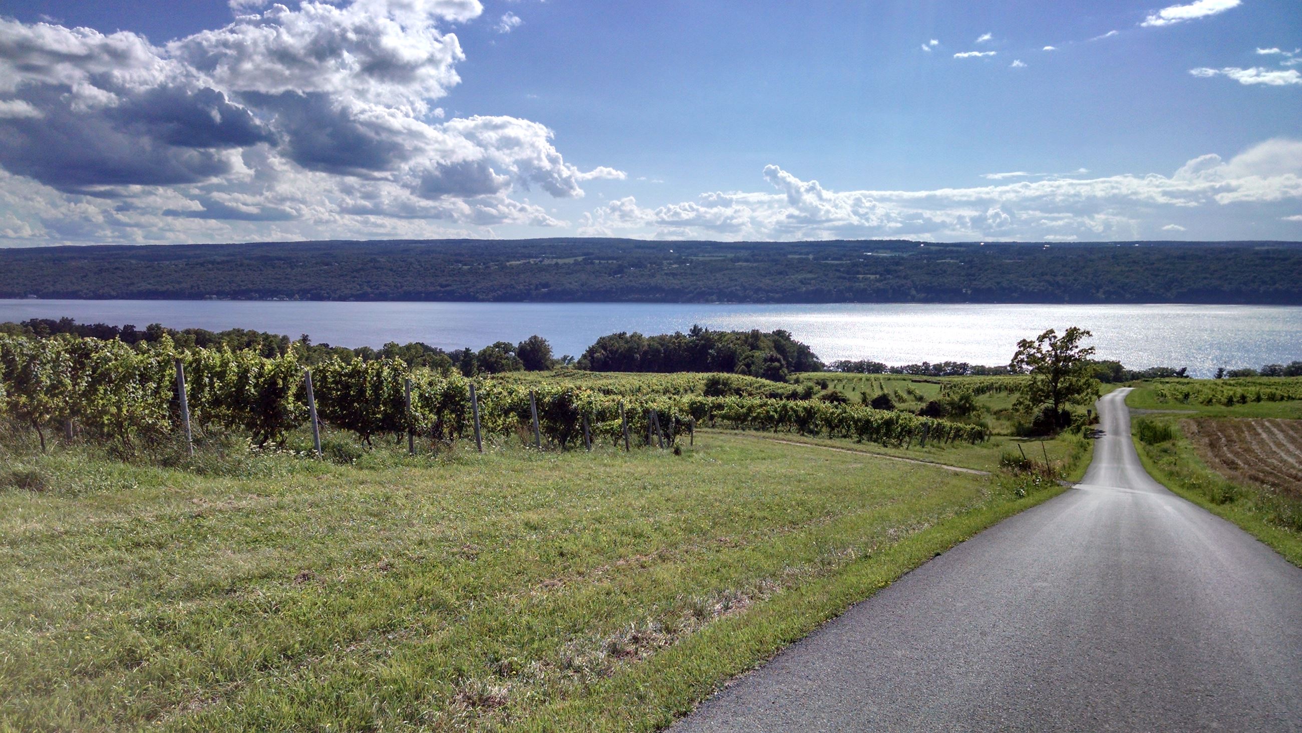 Taken by Antoinette Di Ciaccio